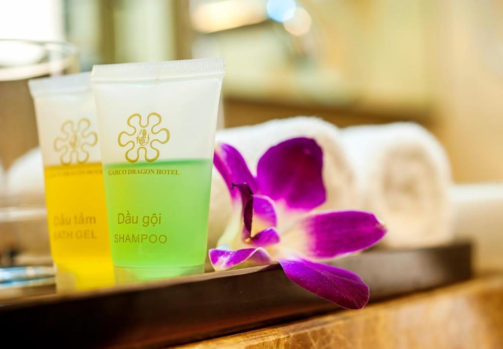 Garco Dragon Hotel Hanoi Pokój zdjęcie